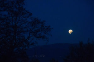 Paesaggio con luna