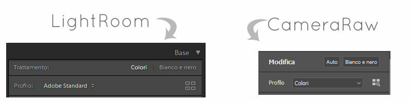 Trattamento Profilo Lightroom